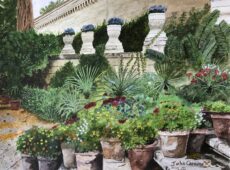San Anton Gardens Pots And Plants